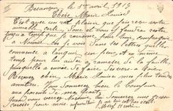 CPA Fantaisie (dessin a la main) Fleurs Drapeaux 