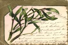 CPA Fantaisie (dessin a la main) Fleurs 