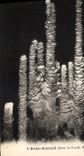 CPA Grotte Grottes L'Aven Armand dans la foret vierge 
