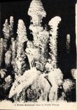 CPA Grotte Grottes L'Aven Armand dans la foret vierge 