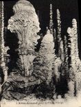 CPA Grotte Grottes L'Aven Armand dans la foret vierge 