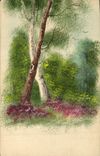 CPA Fantaisie (dessin a la main) Arbres 