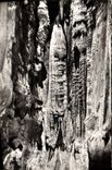 CPM Grotte Grottes L'Aven Armand La stalactite geante 