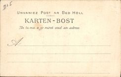 CPA Folklore Les saisons bretonnes Janvier Glaneuse de bois mort La foret de Fouesnant