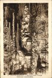 CPA Grotte Grottes L'Aven Armand Dans la foret vierge Colonnes encorbellees
