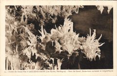 CPA Grotte Grottes Grotte du Grand Roc a Laugerie Basse les Eyzies Dordogne Banc de Corail formation