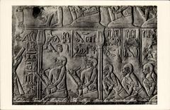 CPA Egypt Egypte Sakkhara