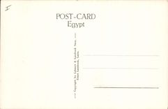 CPA Egypt Egypte Sakkhara