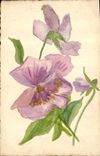 CPA Fantaisie (dessin a la main) Fleurs