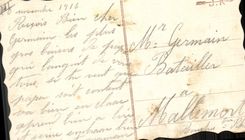 CPA Fantaisie (dessin a la main) Fleurs Hirondelles 