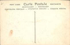 CPA Chateau de Rocheblanc Molines