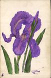 CPA Fantaisie (dessin a la main)  Fleurs 