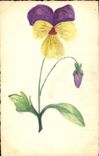 CPA Fantaisie (dessin a la main)  Fleurs 