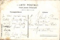 CPA Fantaisie (dessin a la main)  Fleurs Chat