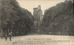 CPA Vire L'esplanade du vieux Chateau 