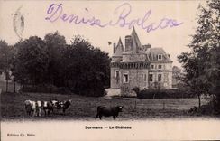 CPA Chateau Dormans Vaches