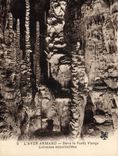 CPA Grotte Grottes L'Aven Armand Dans la foret vierge Colonnes encorbeillees