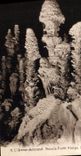 CPA Grotte Grottes Aven Armand Dans la foret vierge Les Choux Fleurs