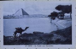 CPA Egypt Egypte Le Caire La route aux Pyramides 