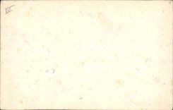 CPA Fantaisie (dessin a la main) Brouette Poussin  