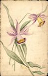 CPA Fantaisie (dessin a la main) Fleurs  
