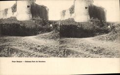 CPA Pays Basque Chateau Fort de Mauleon 