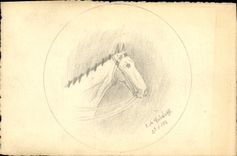 CPA Fantaisie (dessin a la main) Cheval