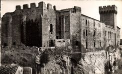 CPM Salon de Provence Le chhateau vue d'ensemble 