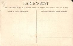 CPA Folklore Maries de Ploare Environs de Douarnenez L'entree en gavotte Mariage