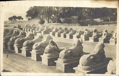 CARTE PHOTO Egypt Egypte Karnak