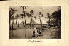 CPA Egypt Egypte Les Pyramides 