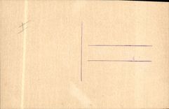 CPA Fantaisie (dessin a la main ) Fleurs Hirondelles