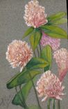 CPA Fantaisie (dessin a la main ) Fleurs
