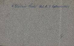 CPA Fantaisie (dessin a la main ) Fleurs