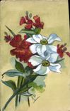 CPA Fantaisie (dessin a la main ) Fleurs