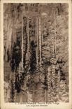 CPA L'Aven Armand Dans la foret vierge Les Aiguilles Geantes 
