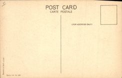 CPA Egypte Egypt Karnak Statue de la Deesse Sekhmet 