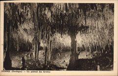 CPA Domme Dordogne un plafond des Grottes 