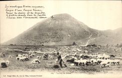 CPA Folklore Le Puy de Dome Berger Moutons