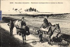 CPA Folklore Une scene champetre Paysannes montagnardes se rendant au marche Ane Mule