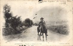 CPA Folklore Auvergne Paysans se rendant a la ville 