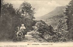 CPA Folklore Auvergne Promenade a ane Mule