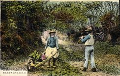 CPA Folklore Chemin Creux Bretagne