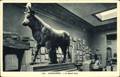 CPA Egypt Egypte Alexandrie Le boeuf Apis