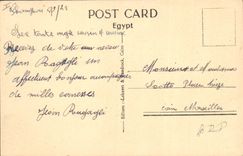 CPA Egypt Egypte Cairo Native ploughing the field