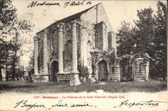 CPA Chateau de la Belle Gabrielle Montceaux