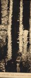 CPA Grotte Grottes Aven Armand Louis Armand devant la colonne ecorbeillee