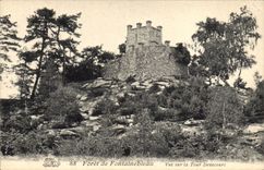 CPA Chateau Foret de Fontainebleau Vue sur la Tour Denecourt