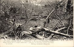 CPA Militaria Peronne Verger devaste par les troupes allemandes
