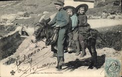 CPA Folklore Auvergne Le martyr des Stations thermales Ane Mule TOP